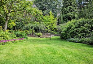 Optimiser l'expérience du jardin à Nanteuil-la-Fosse